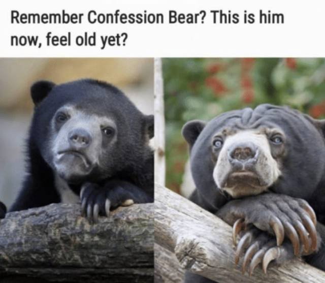 Bildschirmarbeiter - Picdump 29.12.2017