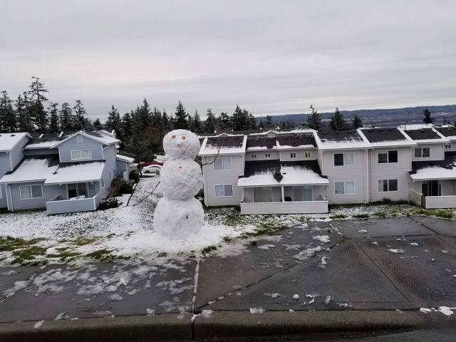 Bildschirmarbeiter - Picdump 29.12.2017