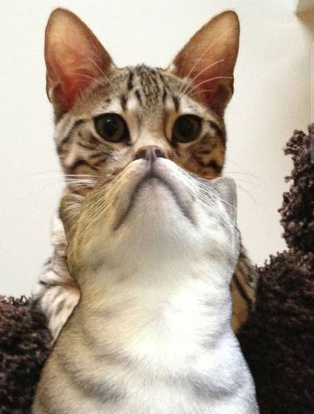 Bildschirmarbeiter - Picdump 29.12.2017