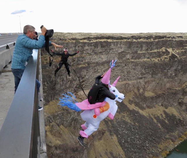 Bildschirmarbeiter - Picdump 29.12.2017