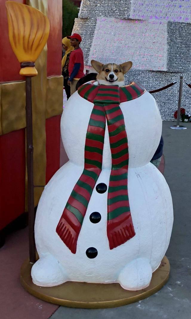 Bildschirmarbeiter - Picdump 05.01.2018