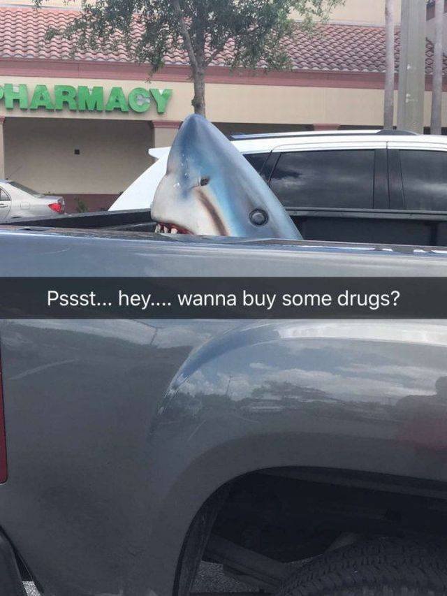 Bildschirmarbeiter - Picdump 05.01.2018