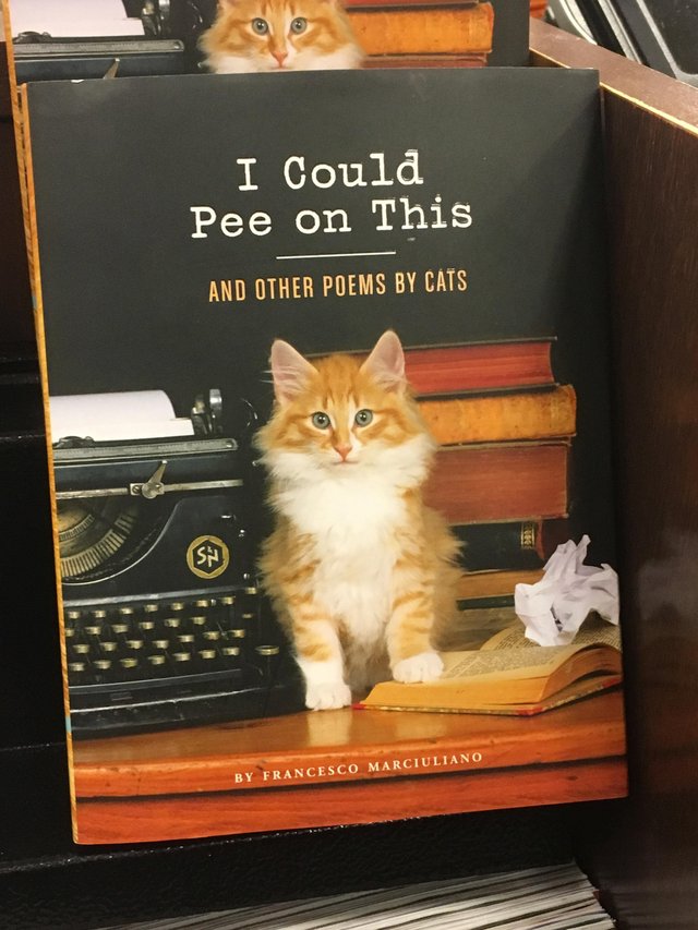 Bildschirmarbeiter - Picdump 05.01.2018