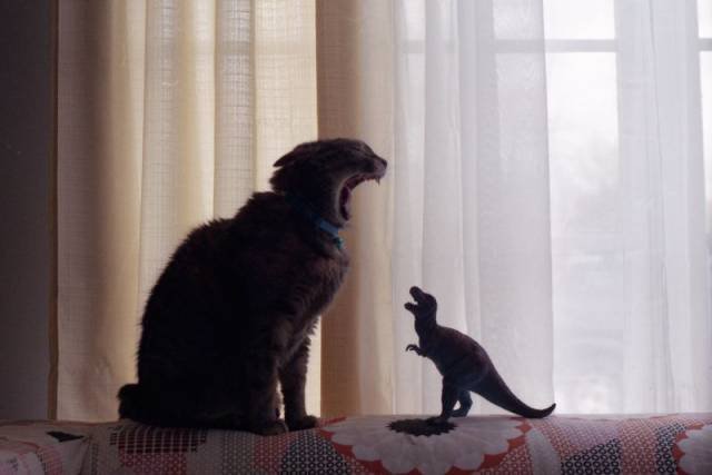 Bildschirmarbeiter - Picdump 05.01.2018