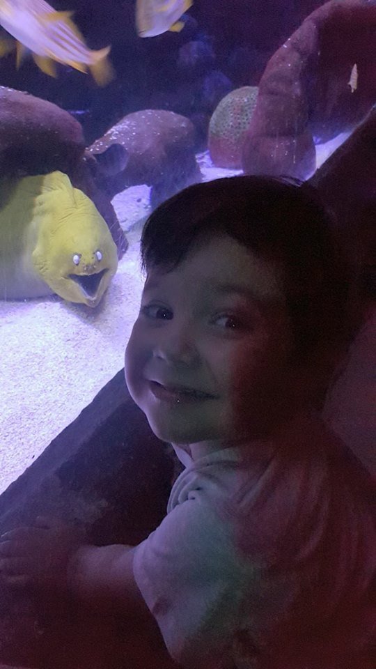 Bildschirmarbeiter - Picdump 05.01.2018