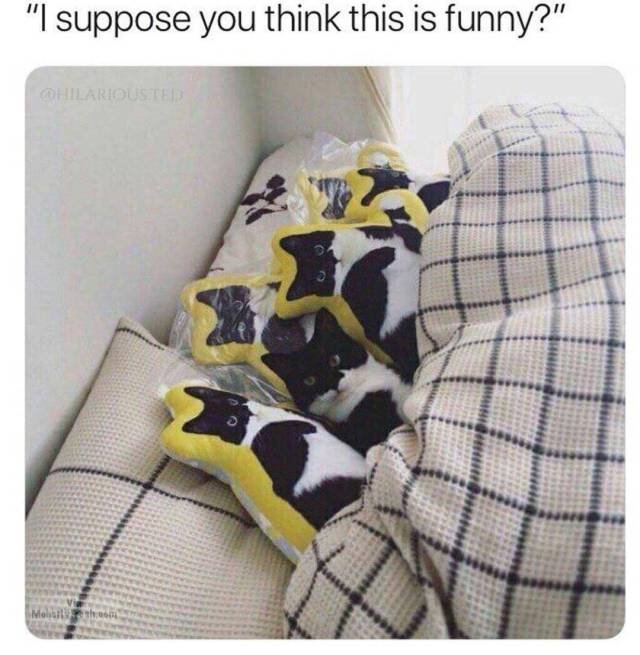 Bildschirmarbeiter - Picdump 05.01.2018