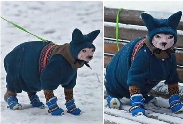 Bildschirmarbeiter - Picdump 05.01.2018