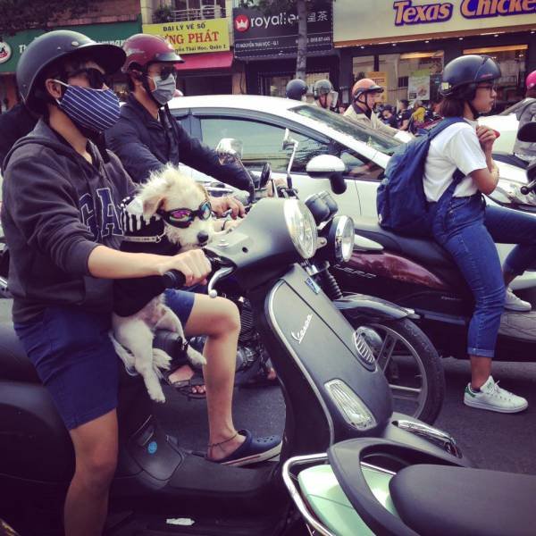 Bildschirmarbeiter - Picdump 05.01.2018