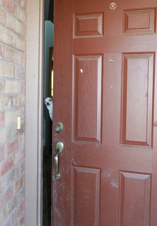 Bildschirmarbeiter - Picdump 05.01.2018