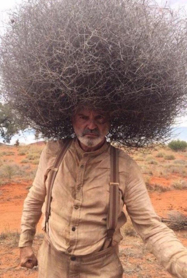 Bildschirmarbeiter - Picdump 05.01.2018