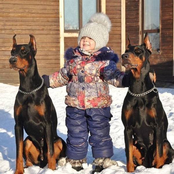 Bildschirmarbeiter - Picdump 12.01.2018