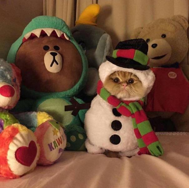 Bildschirmarbeiter - Picdump 12.01.2018