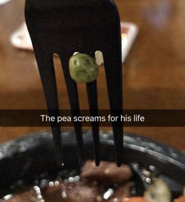 Bildschirmarbeiter - Picdump 12.01.2018