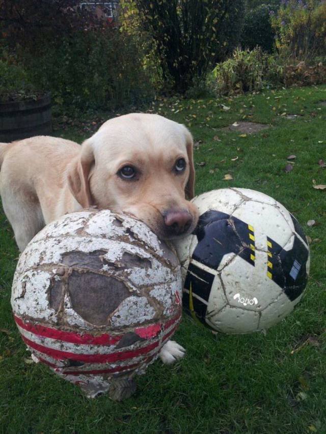 Bildschirmarbeiter - Picdump 12.01.2018