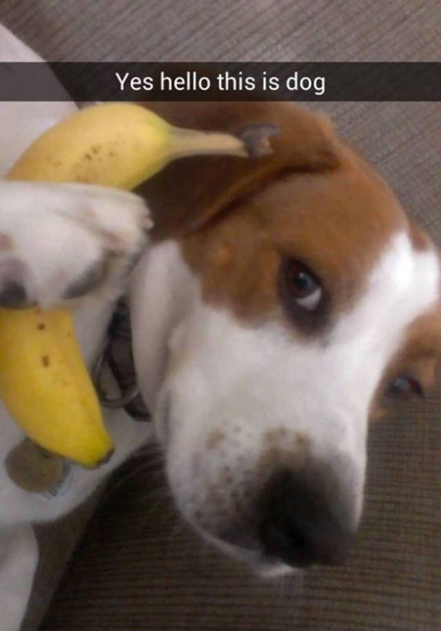 Bildschirmarbeiter - Picdump 12.01.2018