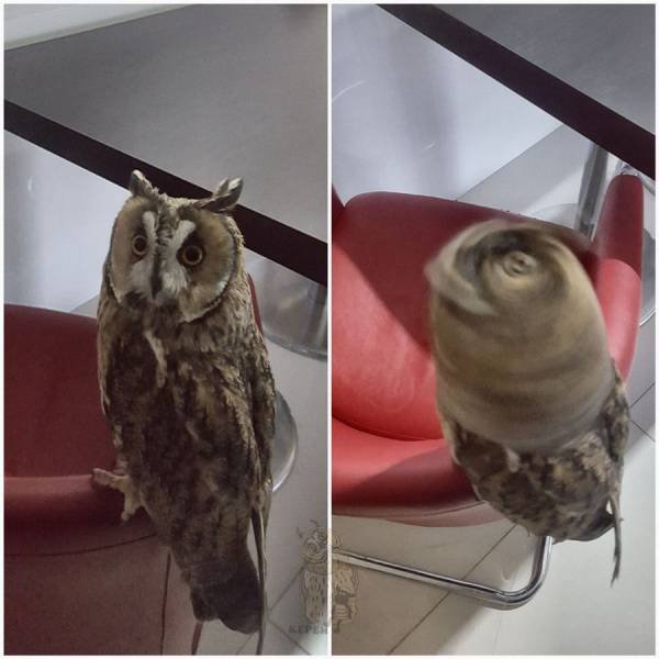 Bildschirmarbeiter - Picdump 19.01.2018