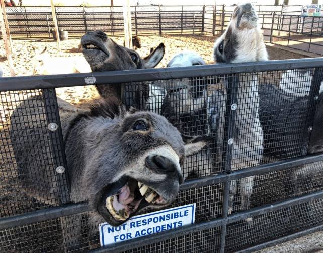 Bildschirmarbeiter - Picdump 19.01.2018