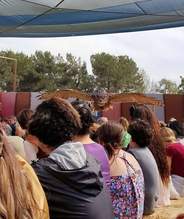 Bildschirmarbeiter - Picdump 19.01.2018