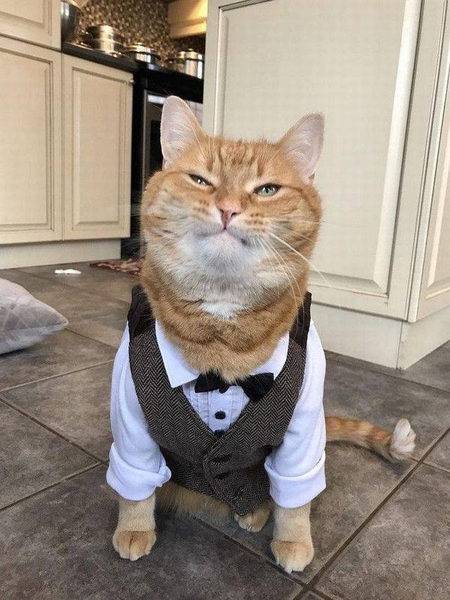 Bildschirmarbeiter - Picdump 19.01.2018