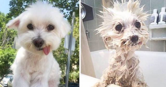 Bildschirmarbeiter - Picdump 19.01.2018