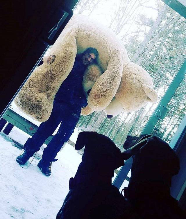 Bildschirmarbeiter - Picdump 19.01.2018