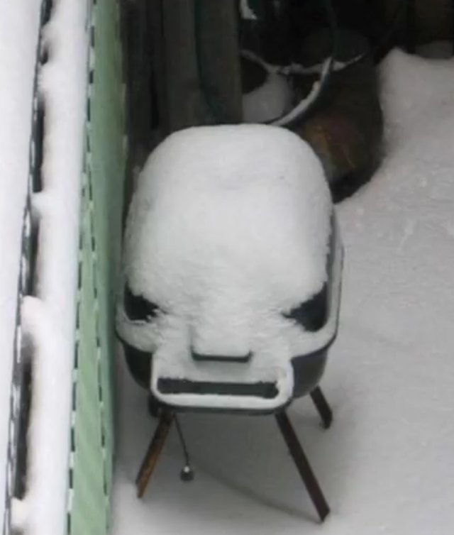 Bildschirmarbeiter - Picdump 19.01.2018