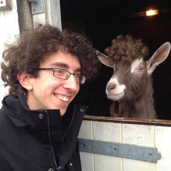 Bildschirmarbeiter - Picdump 19.01.2018