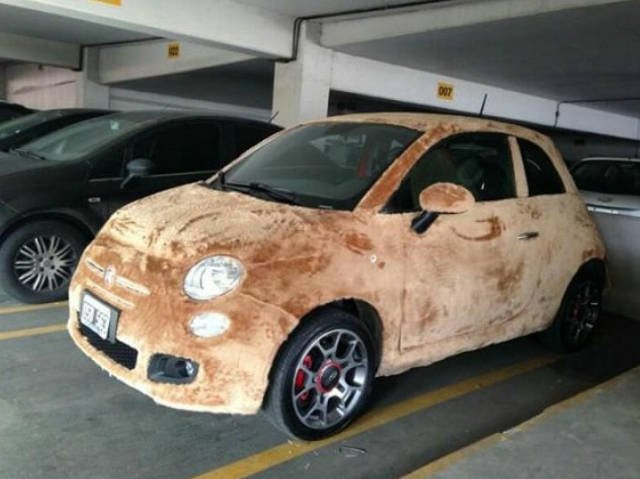 Bildschirmarbeiter - Picdump 19.01.2018