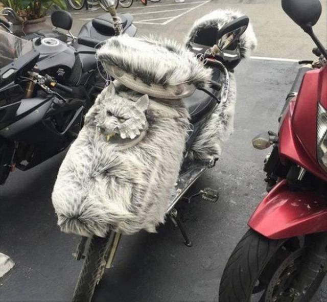 Bildschirmarbeiter - Picdump 19.01.2018