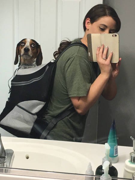 Bildschirmarbeiter - Picdump 19.01.2018