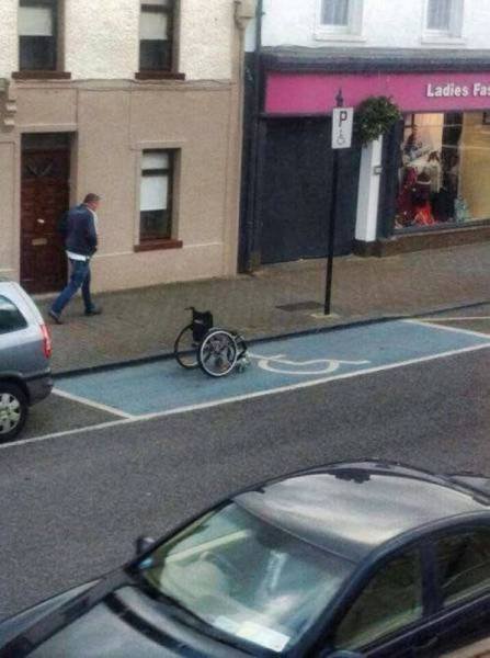 Bildschirmarbeiter - Picdump 19.01.2018