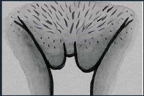 Bildschirmarbeiter - Picdump 26.01.2018