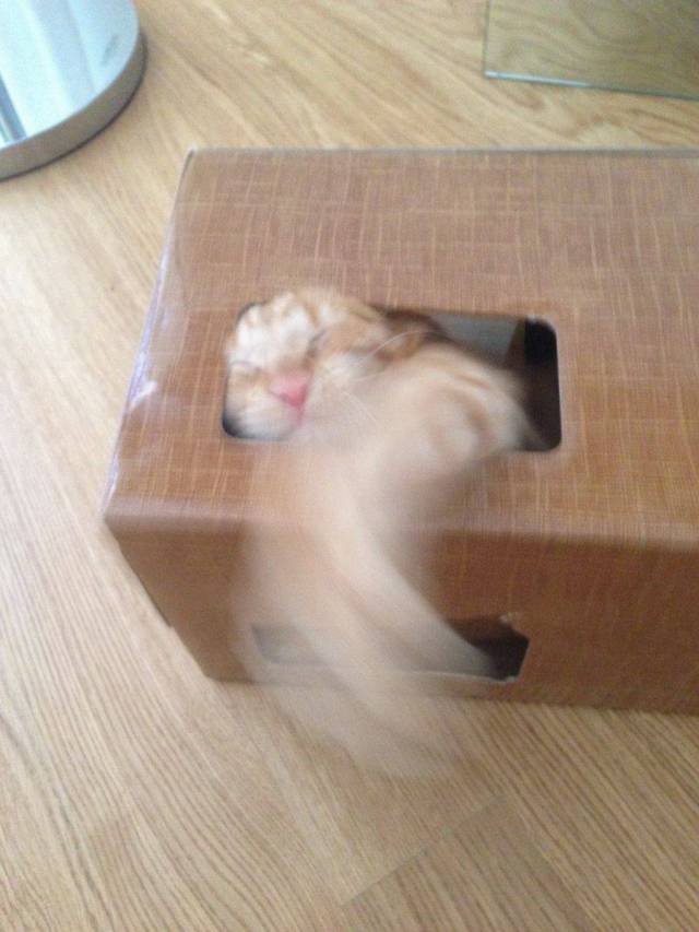 Bildschirmarbeiter - Picdump 26.01.2018