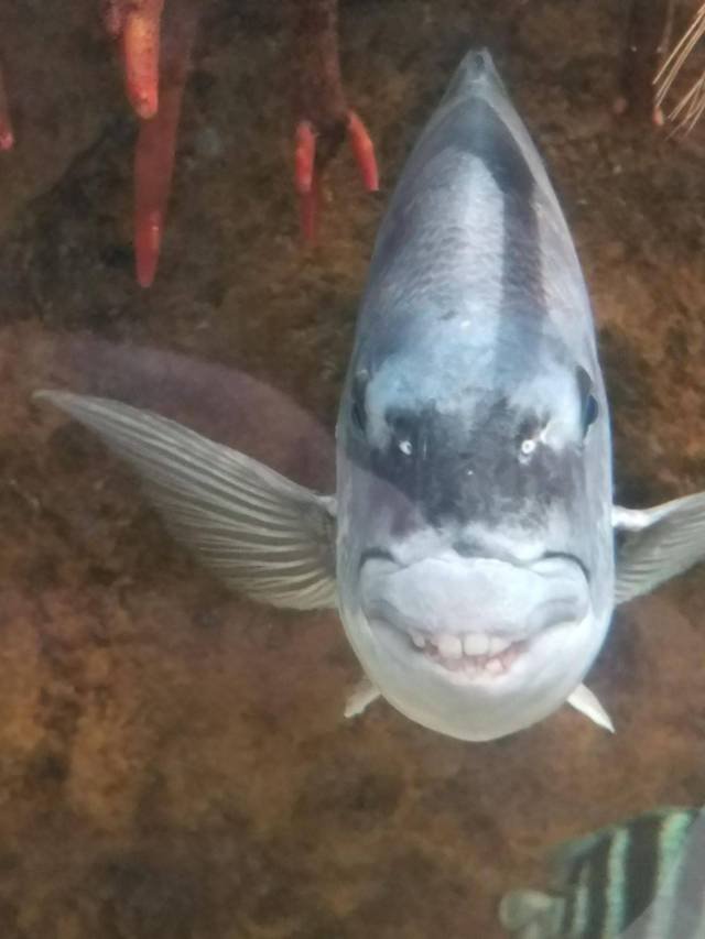 Bildschirmarbeiter - Picdump 26.01.2018