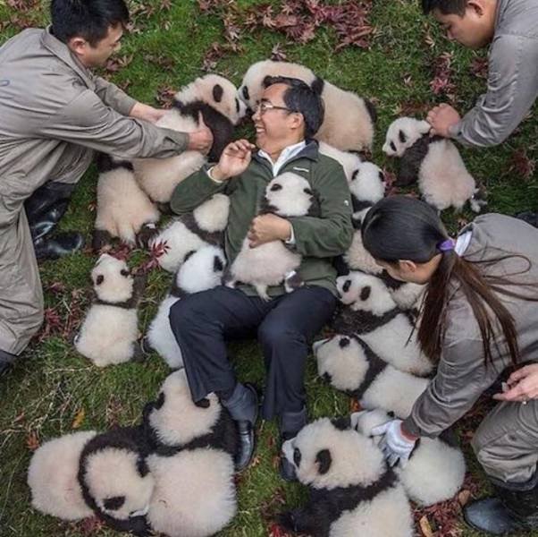 Bildschirmarbeiter - Picdump 26.01.2018