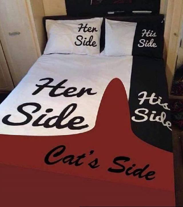 Bildschirmarbeiter - Picdump 26.01.2018