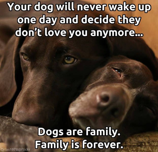 Bildschirmarbeiter - Picdump 26.01.2018