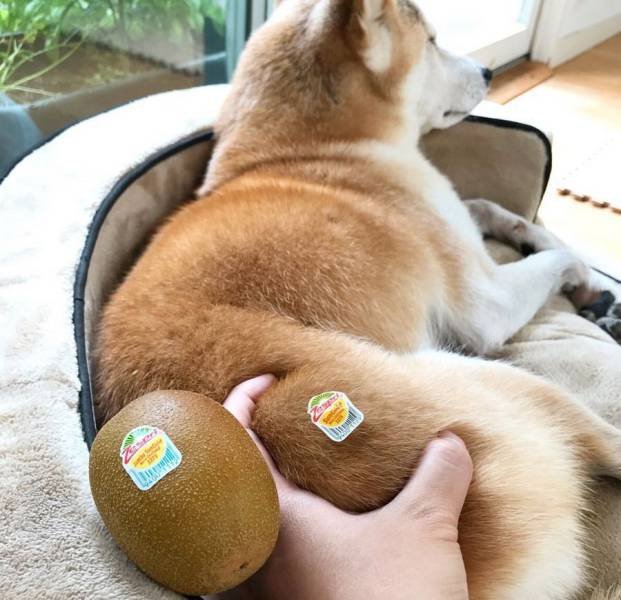 Bildschirmarbeiter - Picdump 16.02.2018