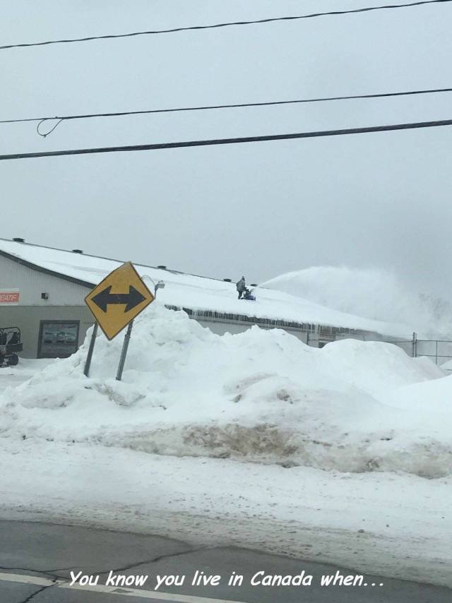 Bildschirmarbeiter - Picdump 16.02.2018