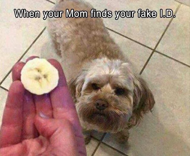 Bildschirmarbeiter - Picdump 02.03.2018