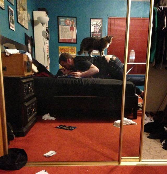 Bildschirmarbeiter - Picdump 02.03.2018