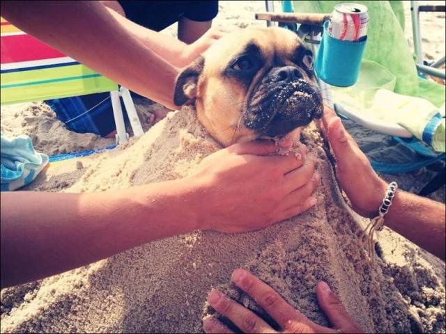 Bildschirmarbeiter - Picdump 02.03.2018