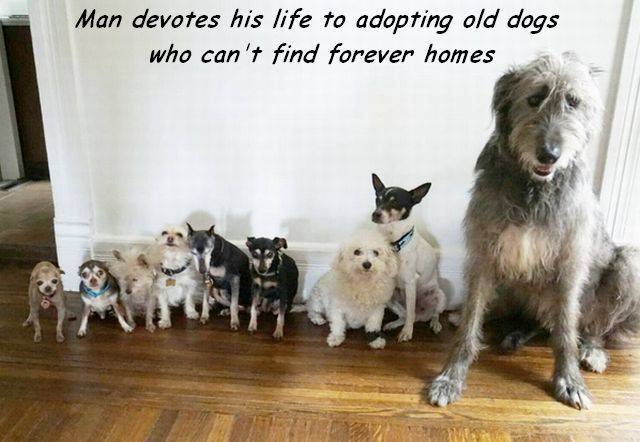 Bildschirmarbeiter - Picdump 02.03.2018