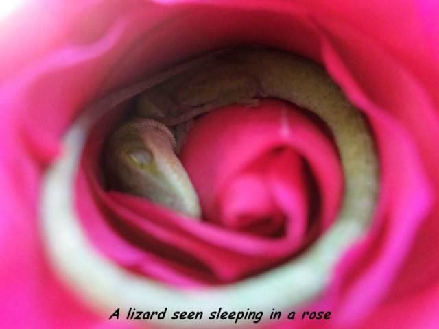 Bildschirmarbeiter - Picdump 02.03.2018