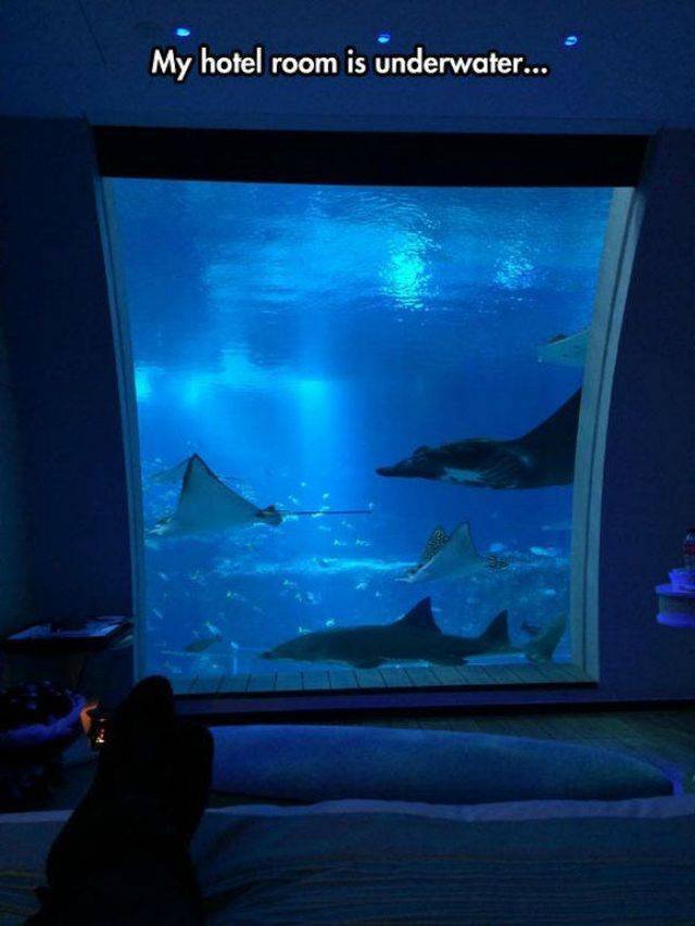 Bildschirmarbeiter - Picdump 02.03.2018