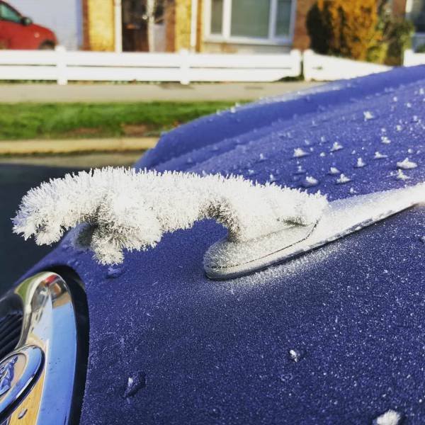 Bildschirmarbeiter - Picdump 02.03.2018