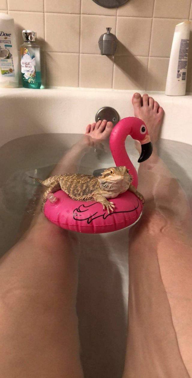 Bildschirmarbeiter - Picdump 02.03.2018