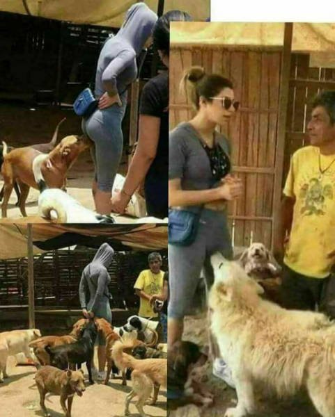 Bildschirmarbeiter - Picdump 02.03.2018