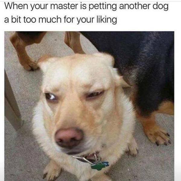 Bildschirmarbeiter - Picdump 02.03.2018