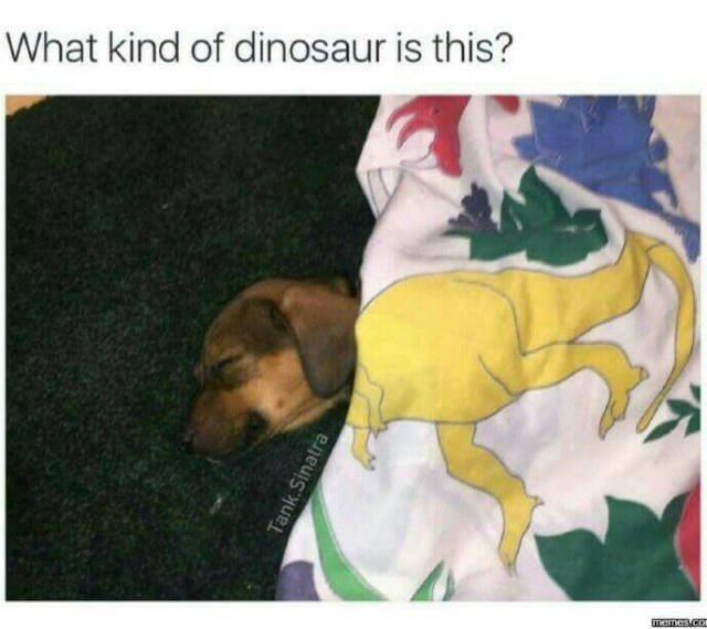 Bildschirmarbeiter - Picdump 02.03.2018